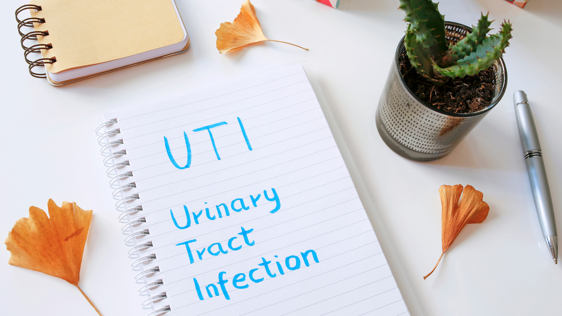 Uti Treatment in Bellevue WA
