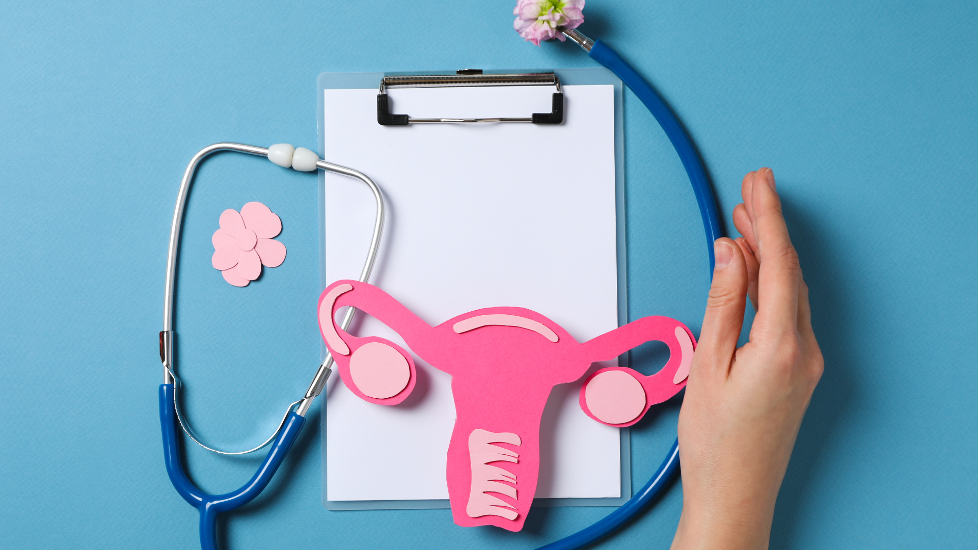 Women's Health Clinic Bellevue