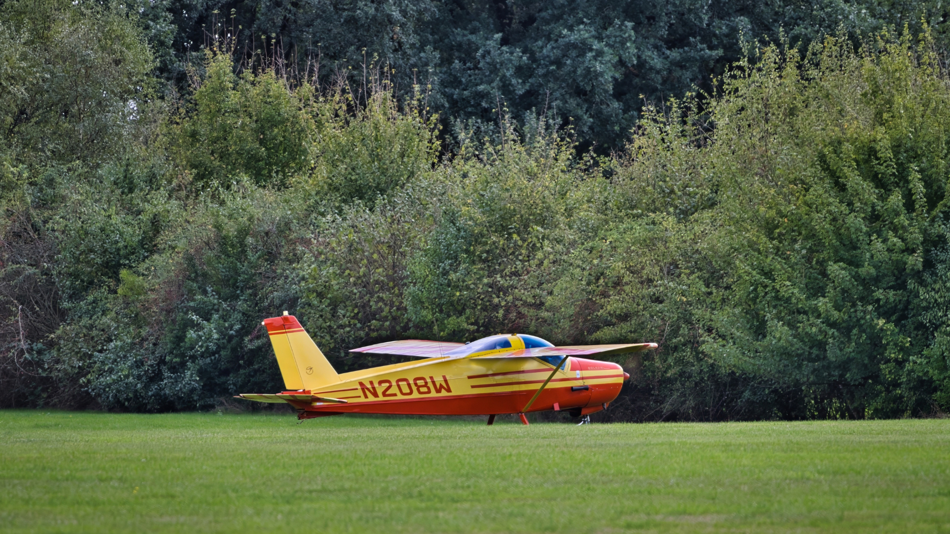 Aviation Medical Examiner Near Me