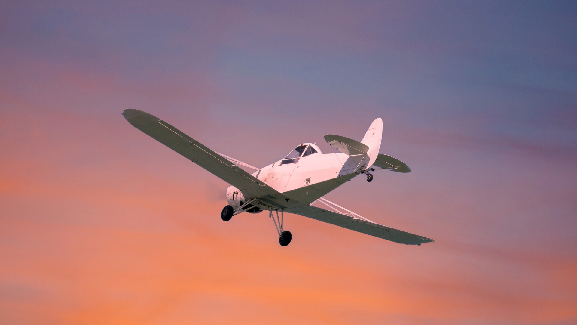 Aviation Medicine in Lake Oswego